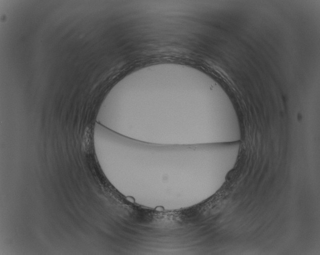 X0000062640077200601111137