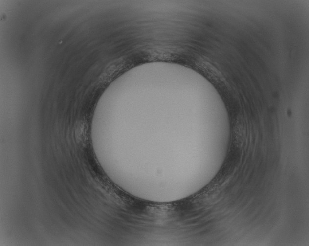 X0000062640079200601111137