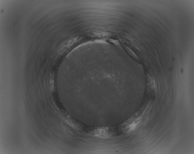 X0000062640080200601111137