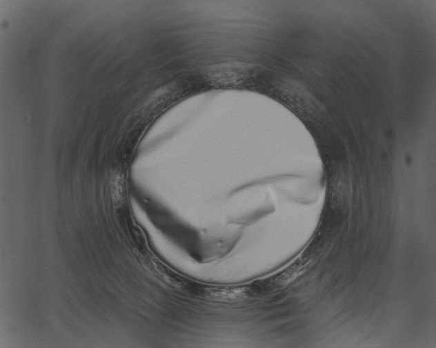 X0000062640081200601111137