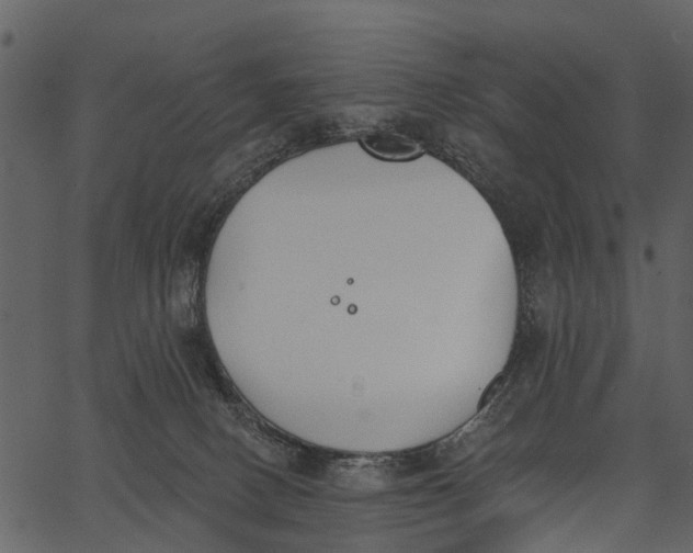 X0000062640082200601111137