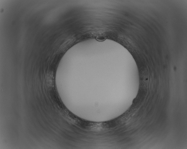 X0000062640083200601111137