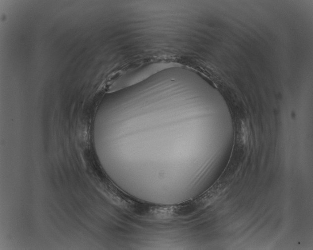 X0000062640084200601111137