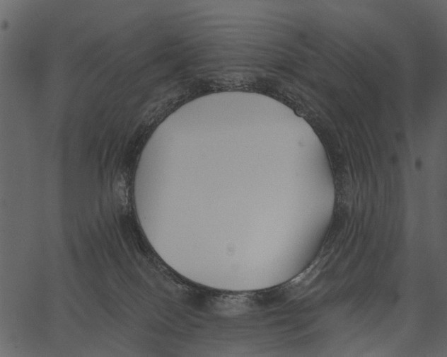 X0000062640086200601111137