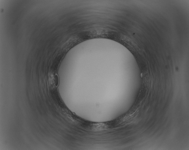 X0000062640087200601111137