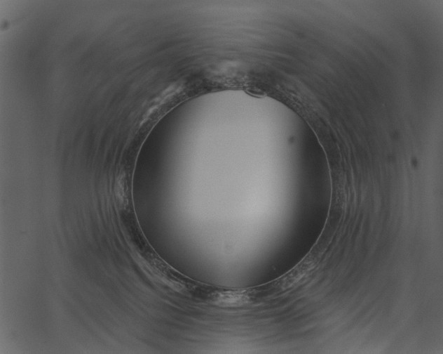 X0000062640088200601111137