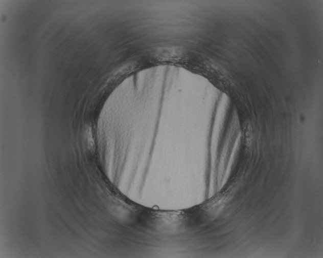 X0000062640089200601111137