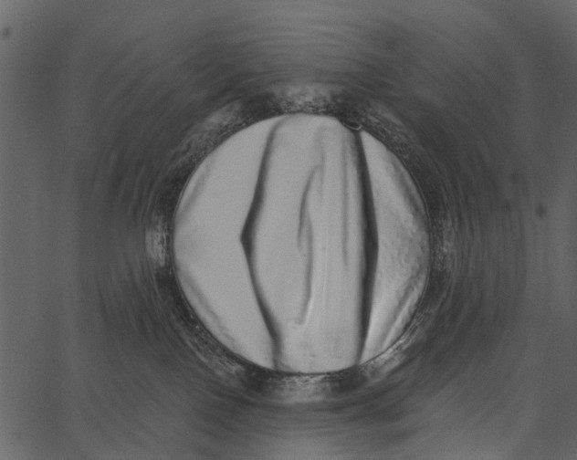 X0000062640090200601111137