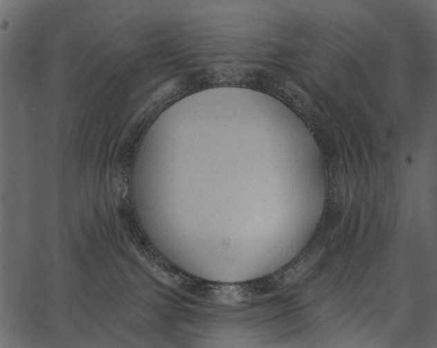 X0000062640091200601111137