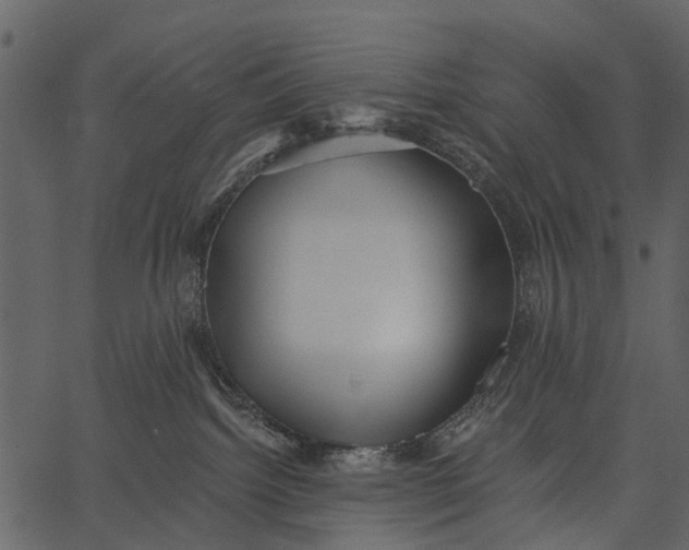 X0000062640092200601111137