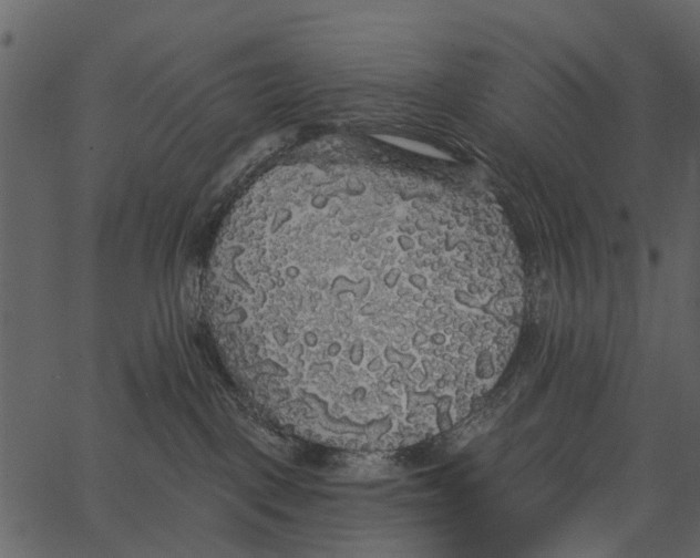 X0000062640093200601111137