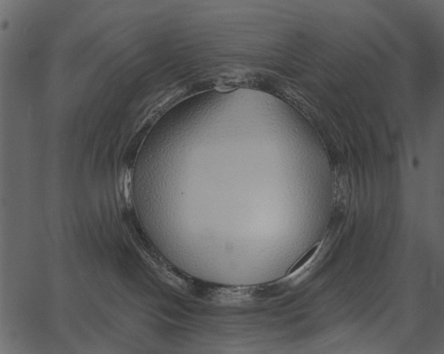 X0000062640094200601111137