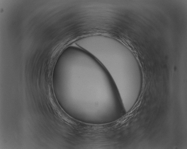 X0000062640097200601111136