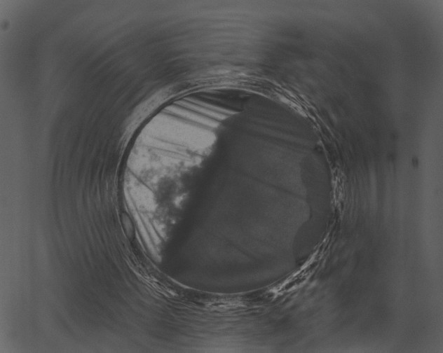 X0000062640099200601111136