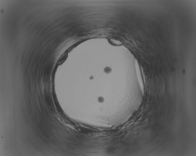 X0000062640100200601111136