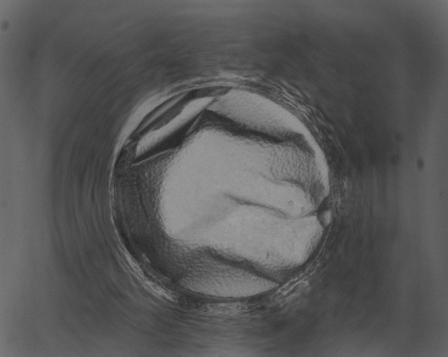 X0000062640102200601111136