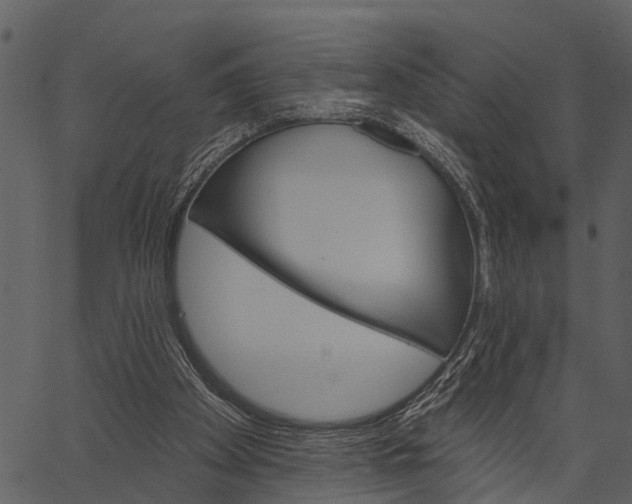 X0000062640105200601111136