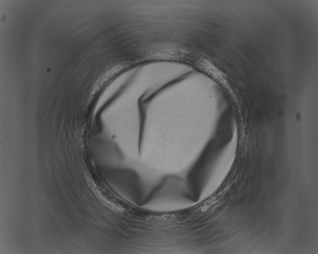 X0000062640106200601111136