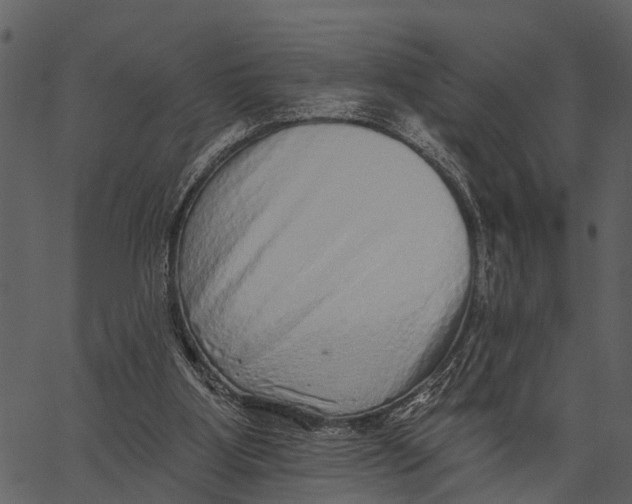 X0000062640107200601111136