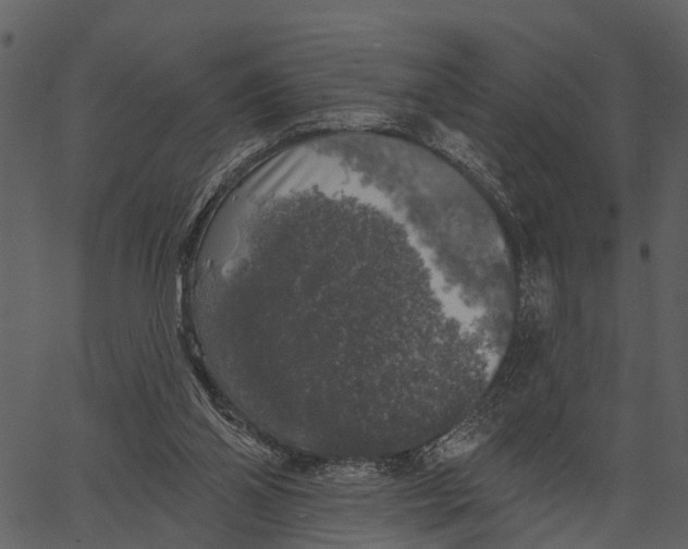 X0000062640110200601111136