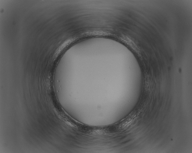 X0000062640111200601111136