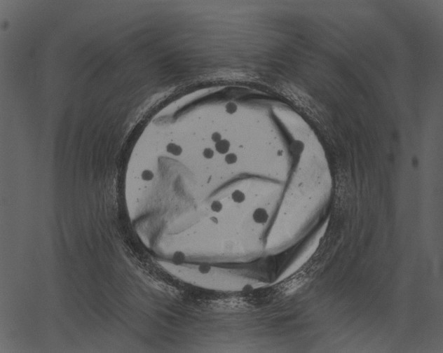 X0000062640112200601111136