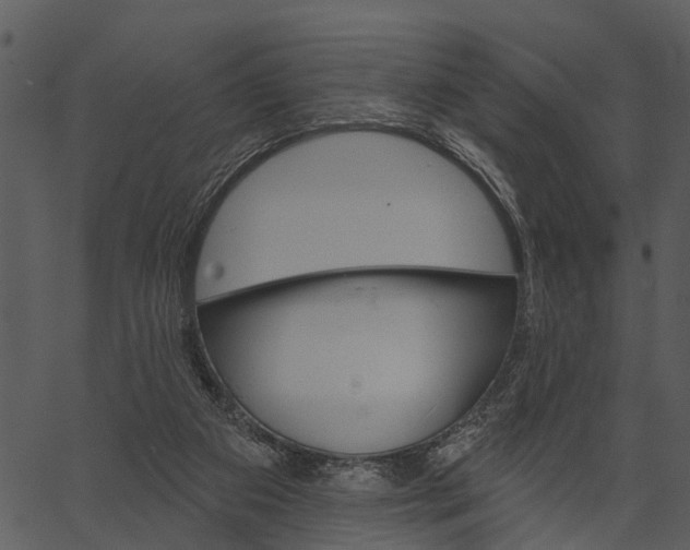 X0000062640113200601111136