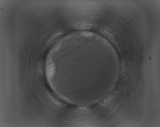 X0000062640114200601111136