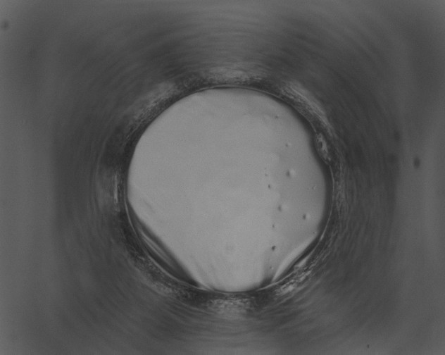 X0000062640115200601111136