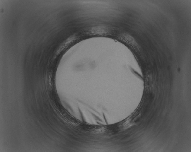 X0000062640116200601111136