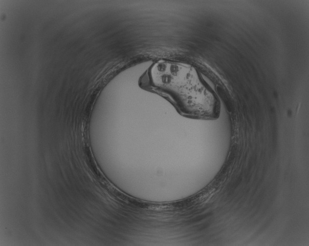 X0000062640117200601111136