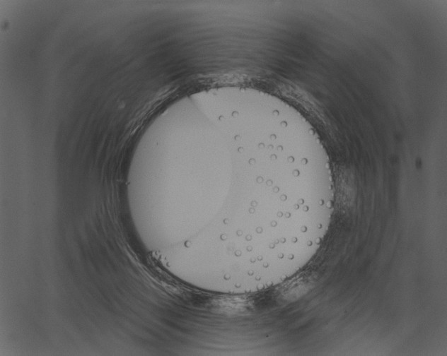 X0000062640118200601111136