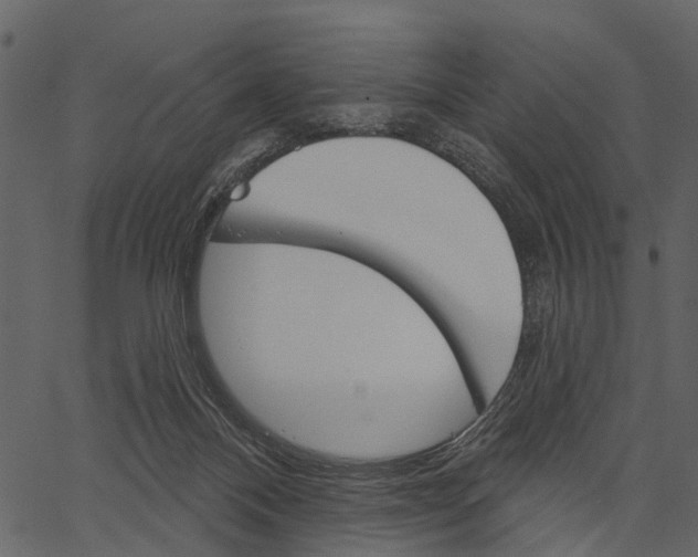 X0000062640120200601111136