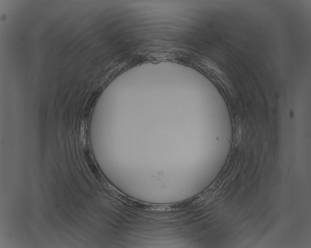 X0000062640121200601111136