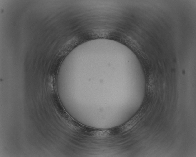 X0000062640122200601111136