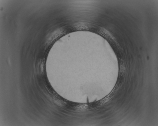 X0000062640124200601111136