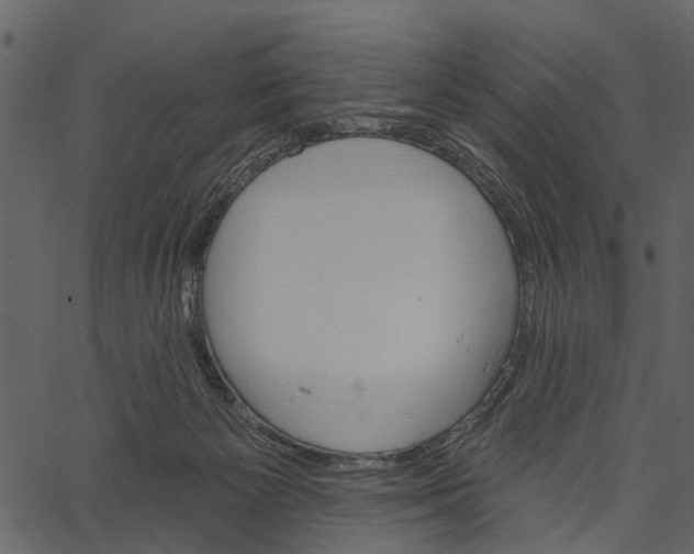 X0000062640125200601111136