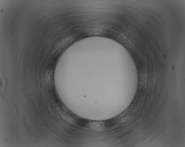 X0000062640126200601111136