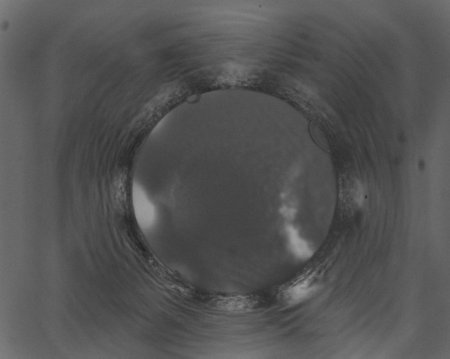 X0000062640127200601111136