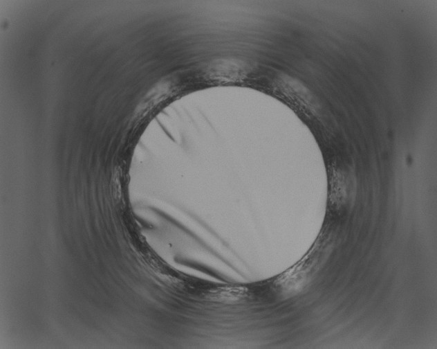 X0000062640128200601111136