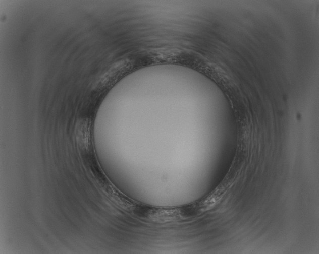 X0000062640129200601111136