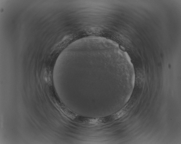 X0000062640130200601111136