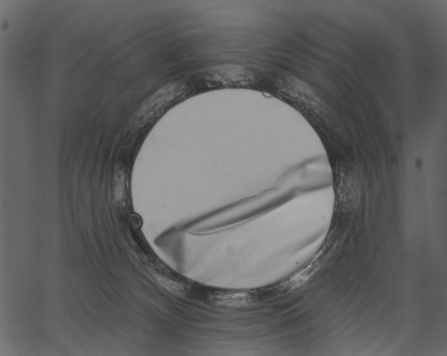 X0000062640132200601111136