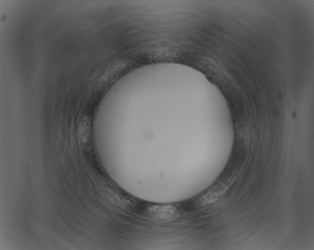 X0000062640133200601111135