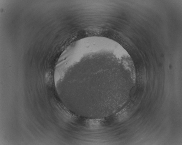 X0000062640134200601111135