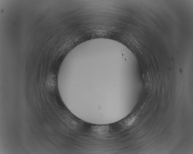 X0000062640135200601111135