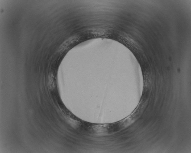 X0000062640136200601111135