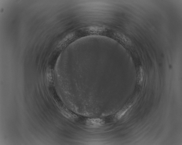 X0000062640137200601111135