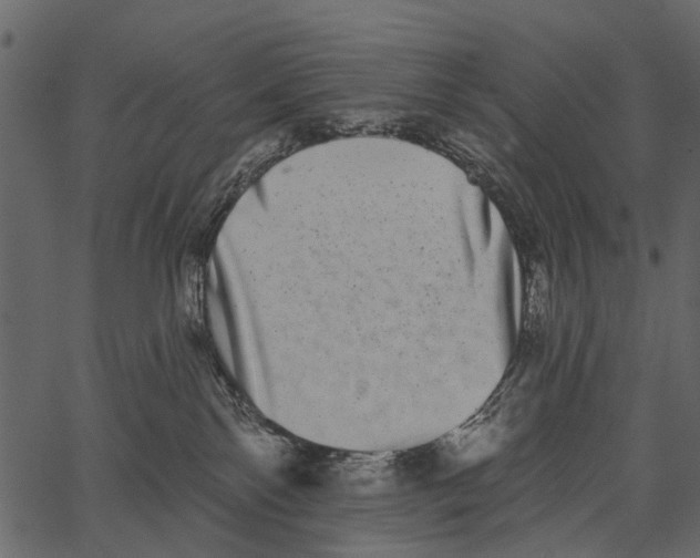 X0000062640138200601111135