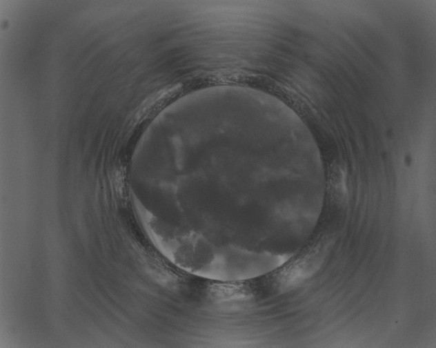 X0000062640139200601111135